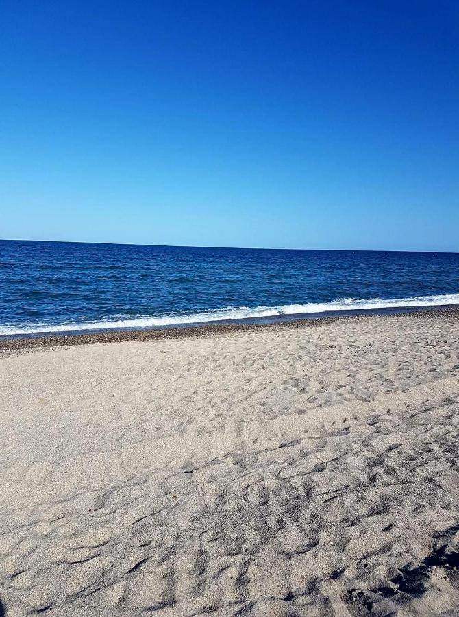 Superbe T2 Climatise, Proche Plage Avec Parking Prive Saint-Cyprien  Exteriör bild